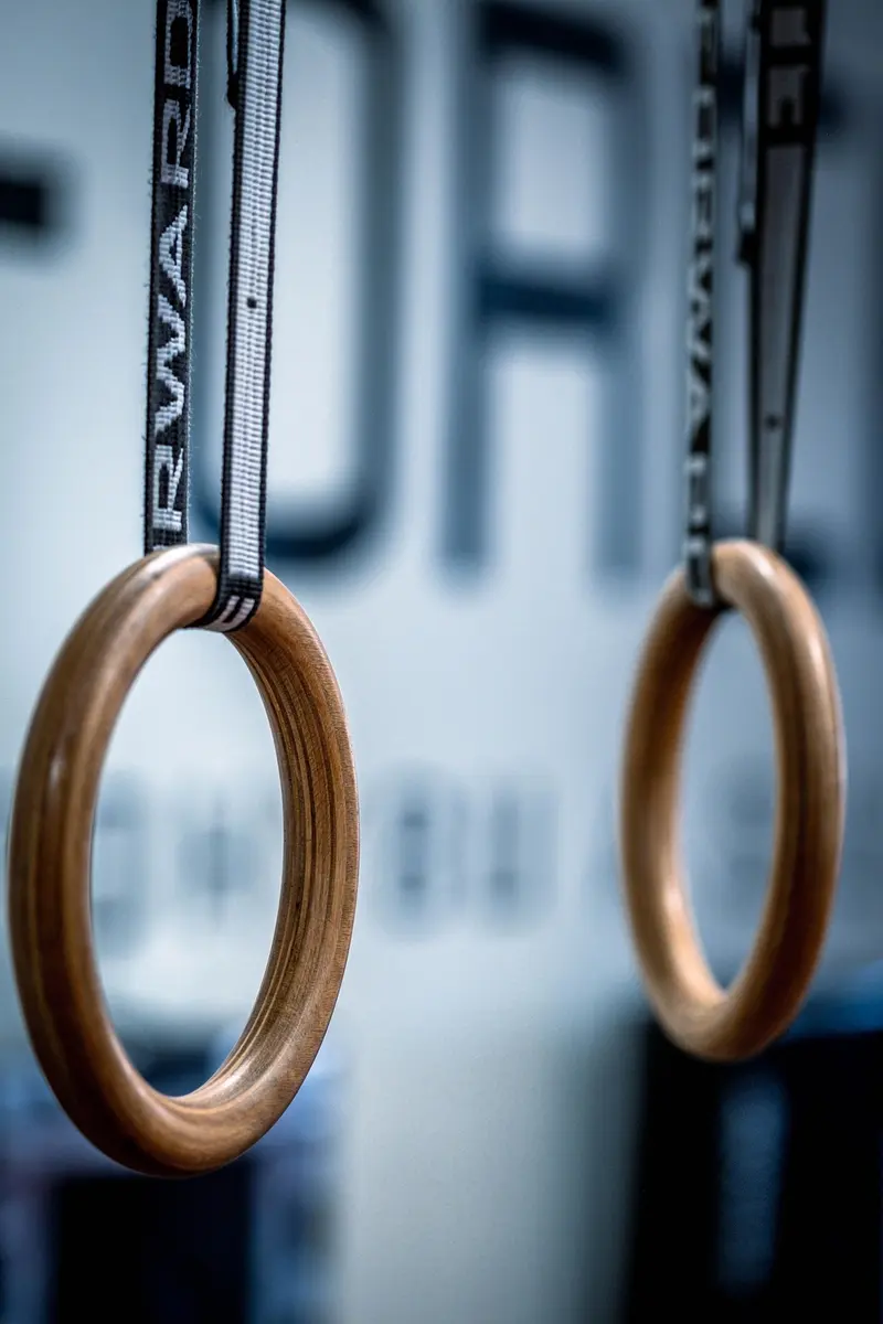 Two gymnastic rings hanging in a training hall